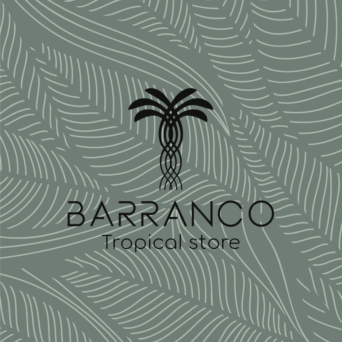 oxel_consulting_barranco_tropical_store